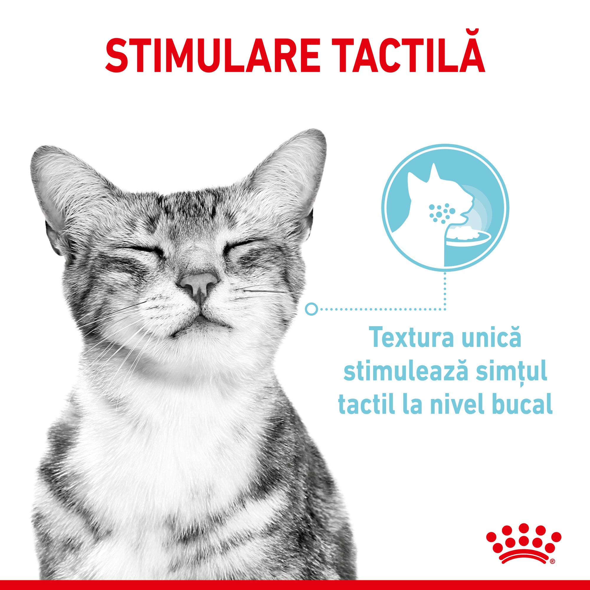 Royal Canin Sensory Feel, hrana umeda pisici, stimularea simtului tactil (in sos), 85 g
