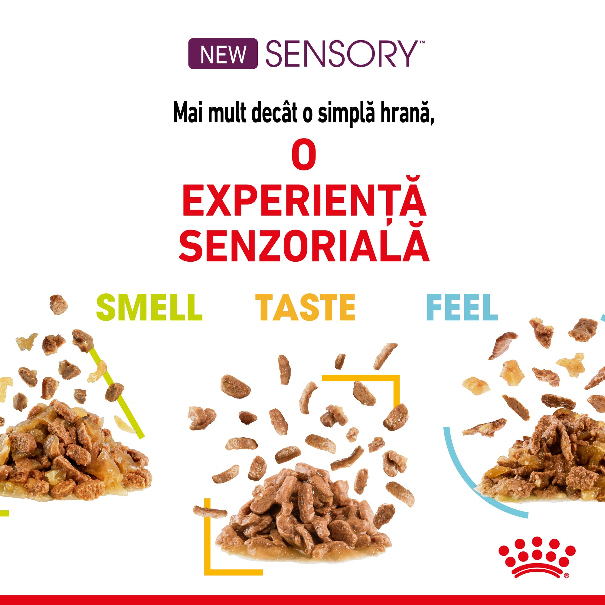 Royal Canin Sensory Feel, hrana umeda pisici, stimularea simtului tactil (in sos), 85 g