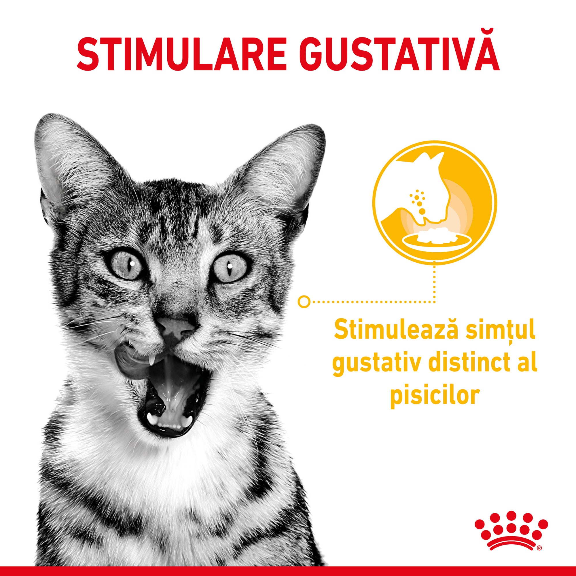 Royal Canin Sensory, hrana umeda pisici, stimularea simturilor (in sos), 12 x 85 g
