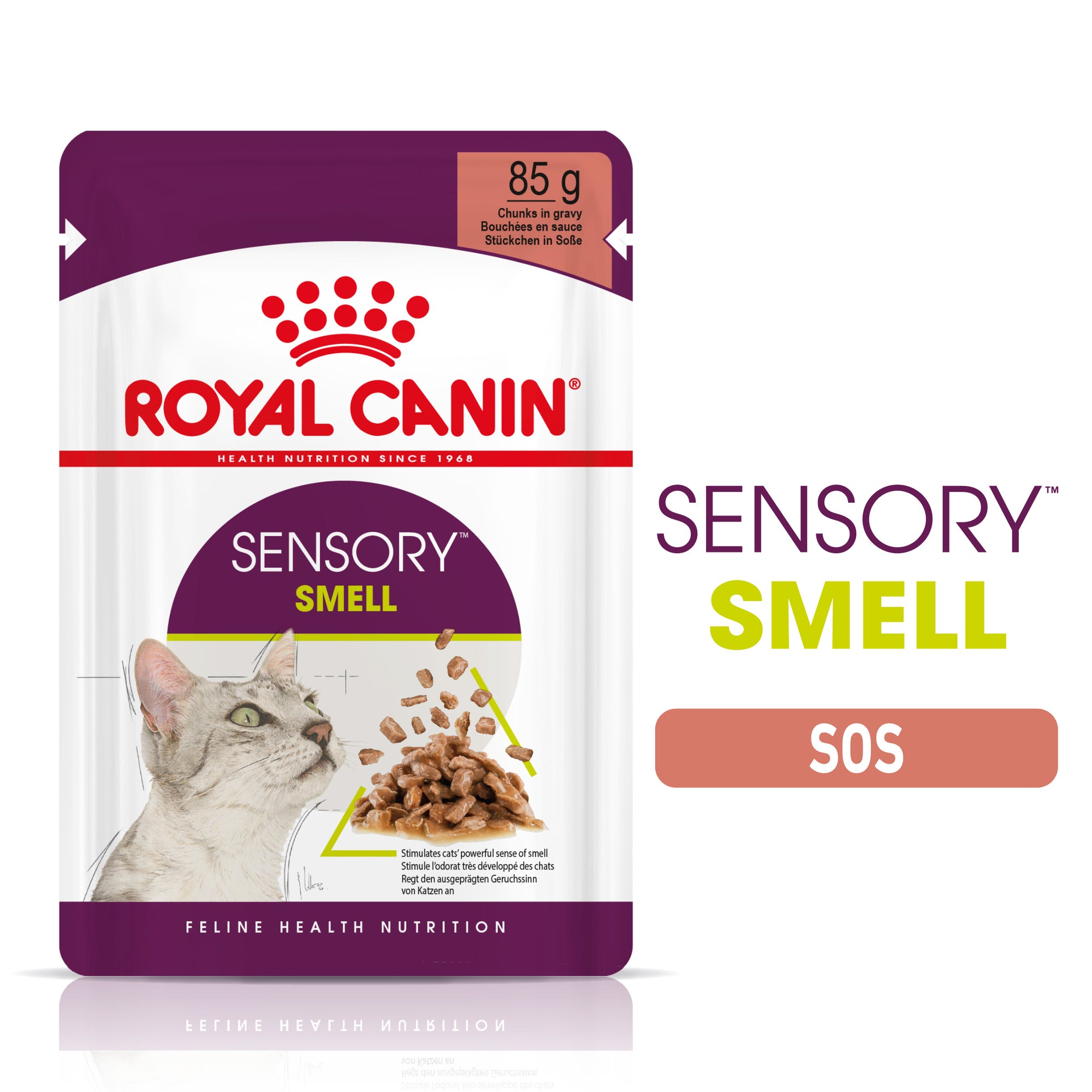 Royal Canin Sensory Smell, hrana umeda pisici, stimularea mirosului (in sos), 85 g